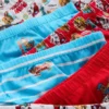 1,5–7 år | 6-pack Paw Patrol-kalsonger