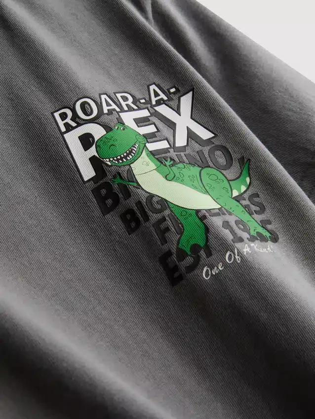 1–9 år | Disney Pixars Toy Story Rex-skjorte