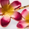 2-pack hårspännen med blommönster