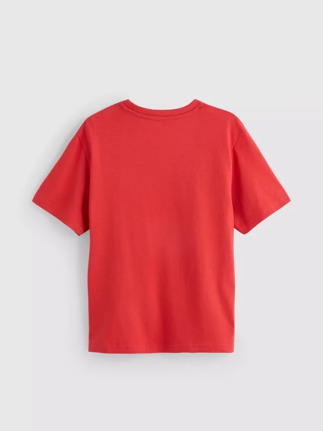 5–15 år | T-shirt med Minecraft-motiv