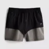 Gymshorts i färgblock