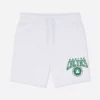 NBA Boston Celtics shorts med dragsko