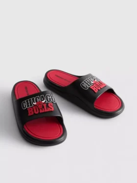 NBA Chicago Bulls-badtofflor