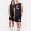 NFL Houston Texans linne