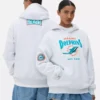 NFL Miami Dolphins-hoodie