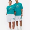 NFL Miami Dolphins-logotyp-T-shirt