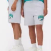 NFL Miami Dolphins-shorts med logotyp