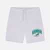 NFL Miami Dolphins-shorts med logotyp