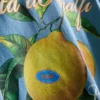 T-shirt med Amalfi-citronmotiv