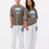 T-shirt med NFL Detroit Lions-logotyp