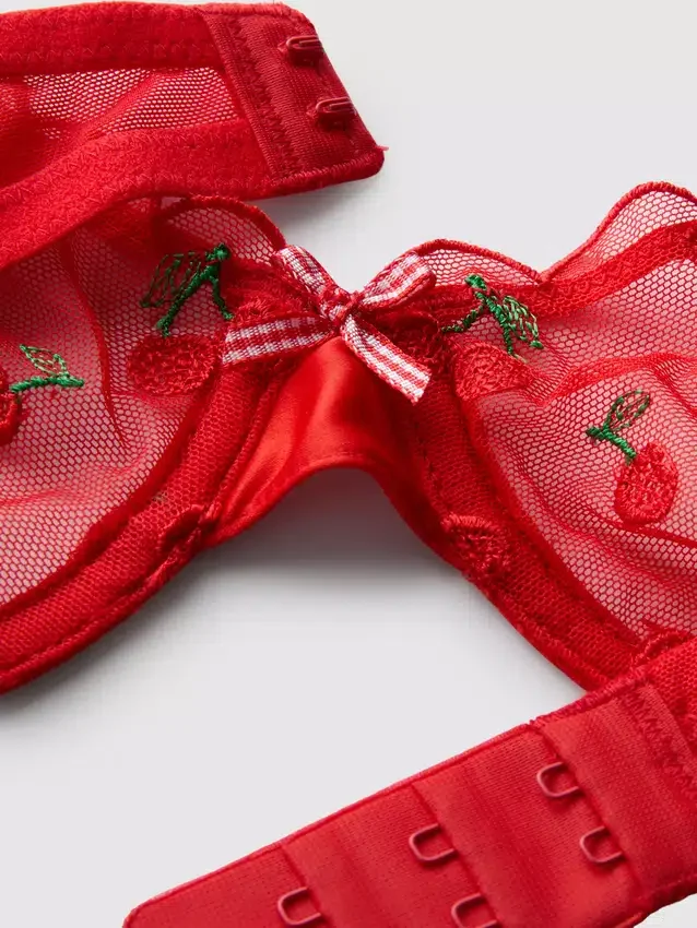 Underklädesset i mesh med broderade körsbär